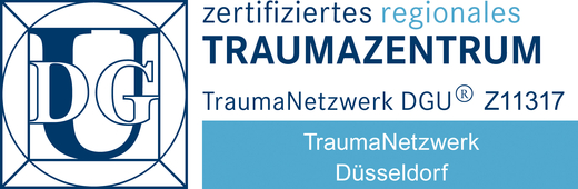 Logo Traumanetzwerk