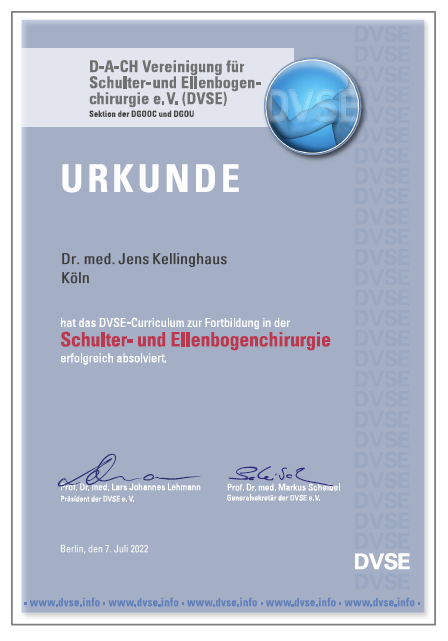 Grafische Darstellung der Urkunde Schulter- und Ellenbogenchirurgie DVSE