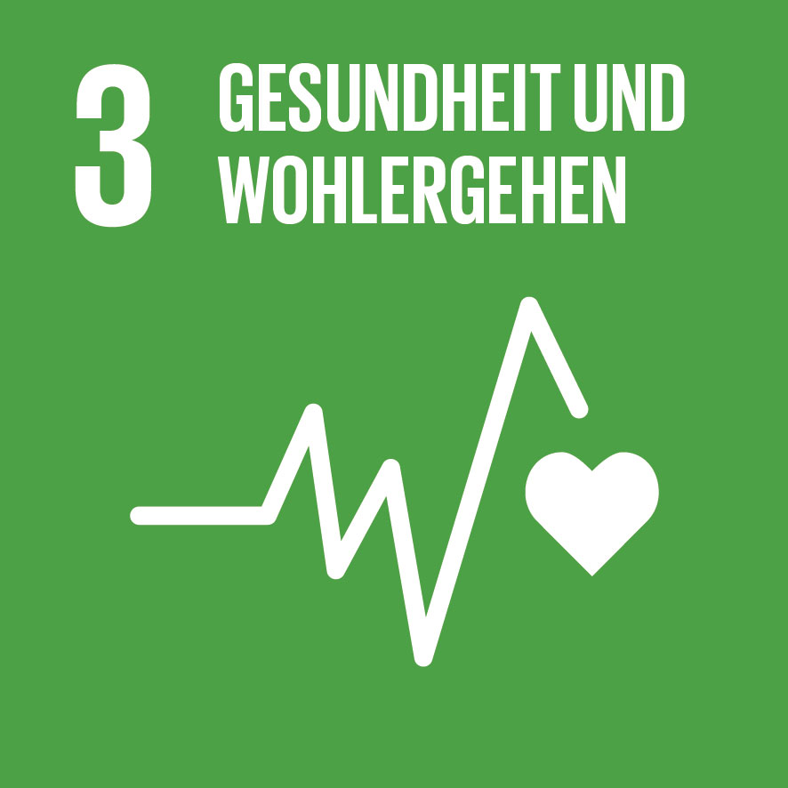Projekt Bild