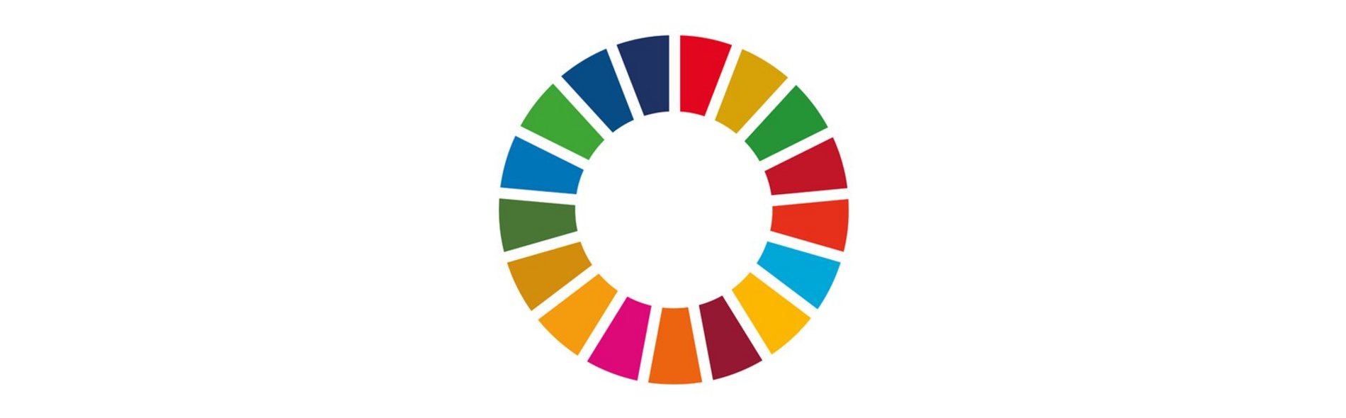 Headerbild mit dem SDG-Wheel, dem Logo der Ziele für Nachhaltige Entwicklung der UN.