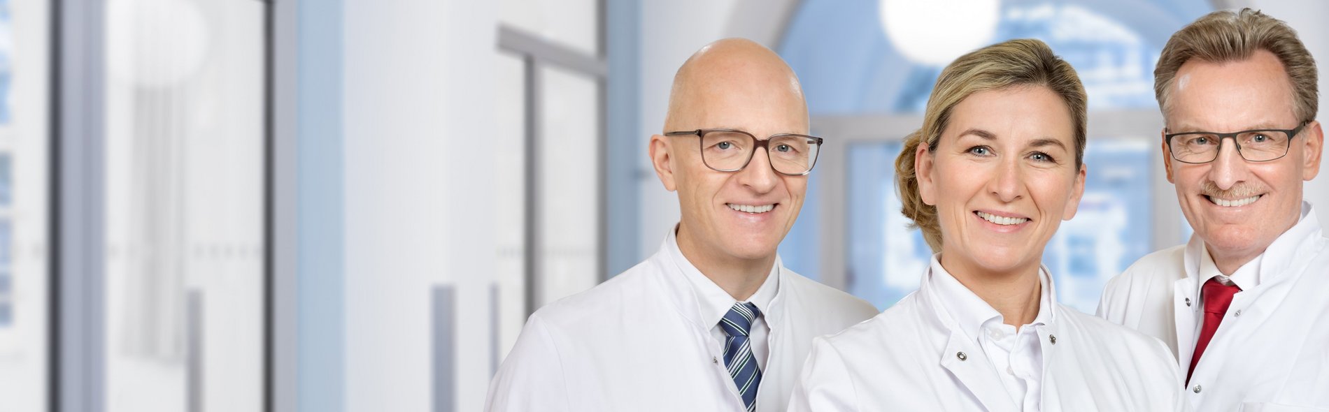 Prof. Dr. Michael Heise, Dr. Frauke Fritze-Büttner, Prof. Dr. Siegbert Faiss