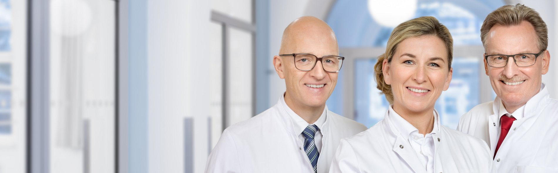 Prof. Dr. Michael Heise, Dr. Frauke Fritze-Büttner, Prof. Dr. Siegbert Faiss