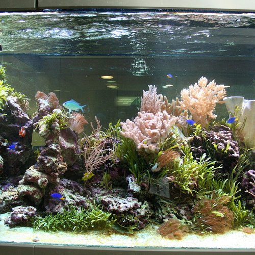 Aquarium