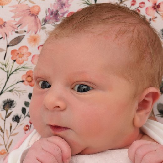 Babygaleriebild von Eva, geboren am 17.11.2025 im Sana Klinikum Hof