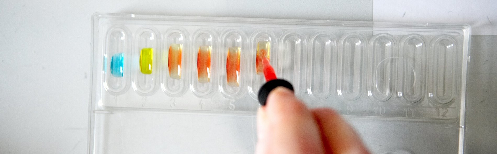 Eine Hand gibt vorsichtig rote Flüssigkeit in eine transparente Schale mit mehreren Vertiefungen, von denen einige bereits farbige Flüssigkeiten wie Blau, Gelb und Orange enthalten. Der Schauplatz ist ein Labor.