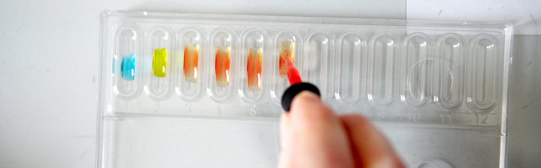 Proben und Pipette
