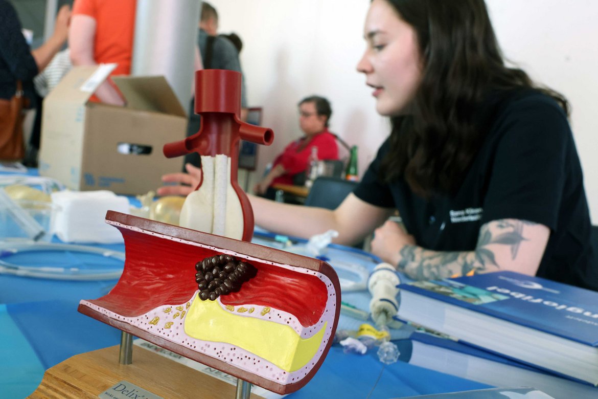 Gefäßmodell mit Ablagerungen zur Erklärung von Arteriosklerose beim Gefäßtag