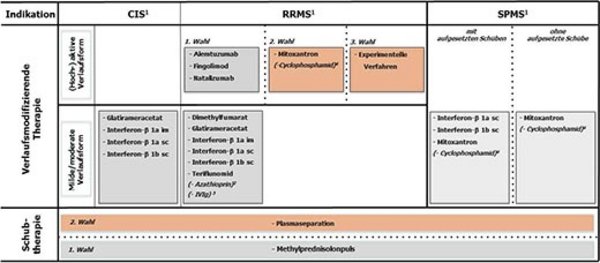 Abbildung 5: Stufenschema DGN/KKN-MS zur MS-Therapie (www.dgn.org)