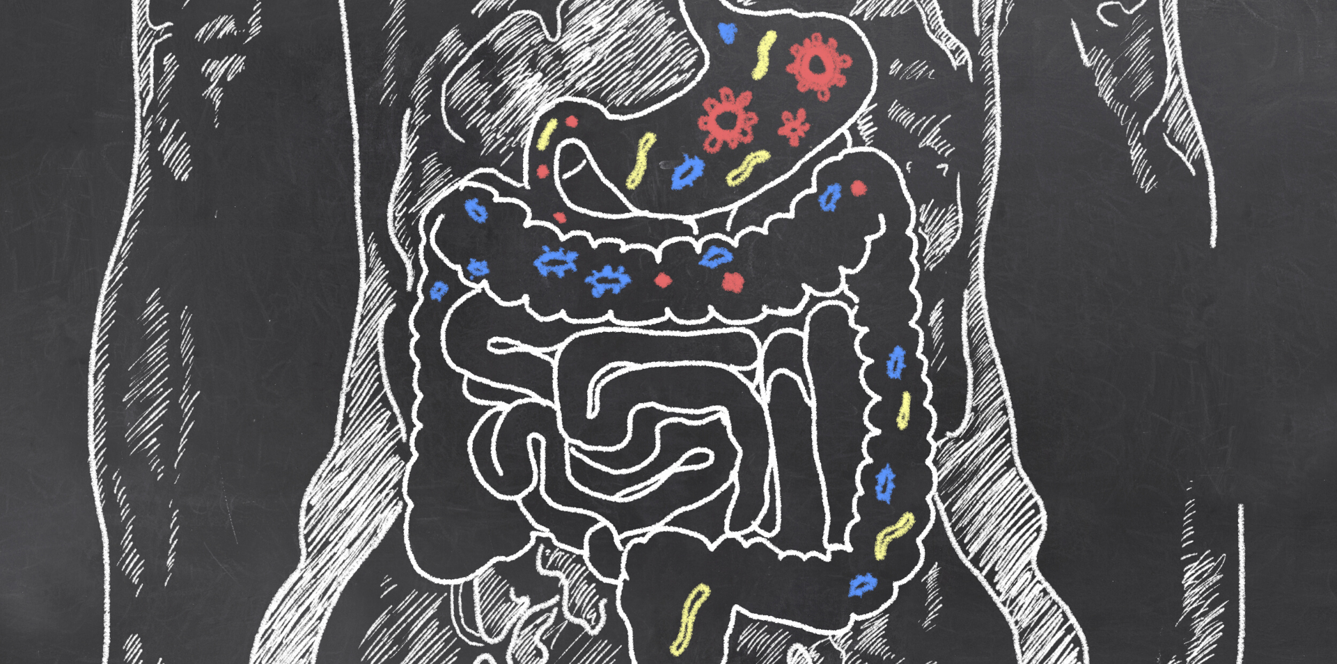 Gastroenterologie