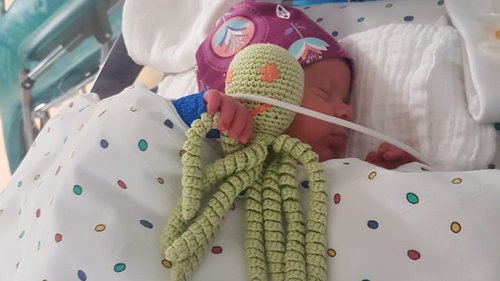 Kraken auf der Neonatologie