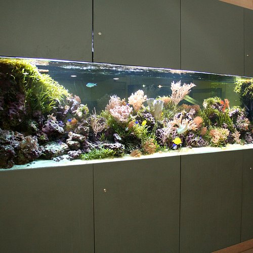 Aquarium