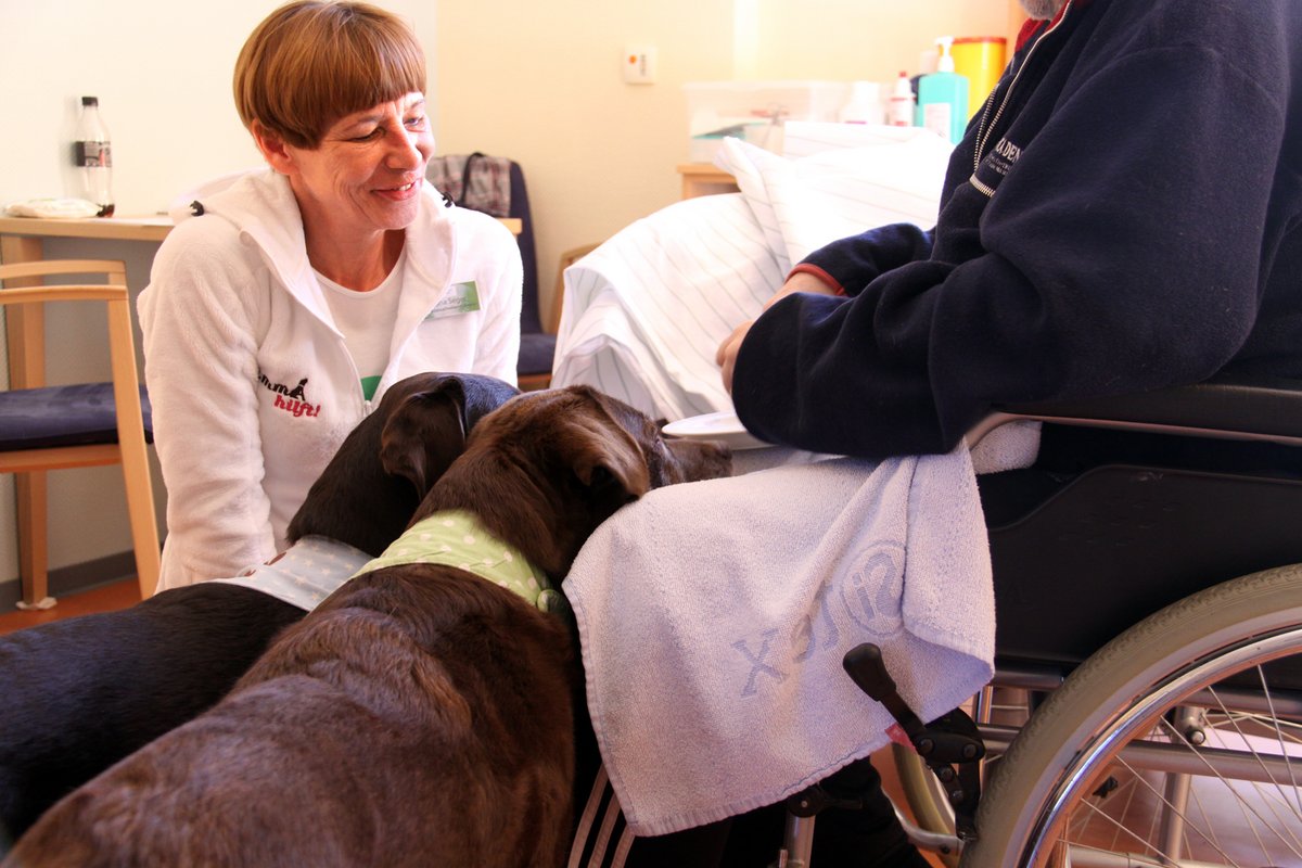 Hunde am Krankenbett Helfer in schweren Zeiten Offenbach Sana
