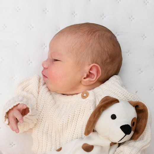 Babygaleriebild von Mara, geboren am 15.04.2026 im Sana Klinikum Hof
