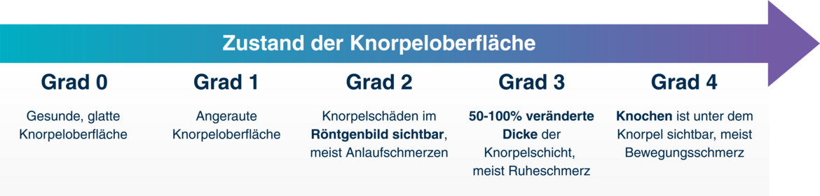 Infografik zu den Stadien 0 bis 4 der Koxarthrose in Bezug auf den Knorpelzustand