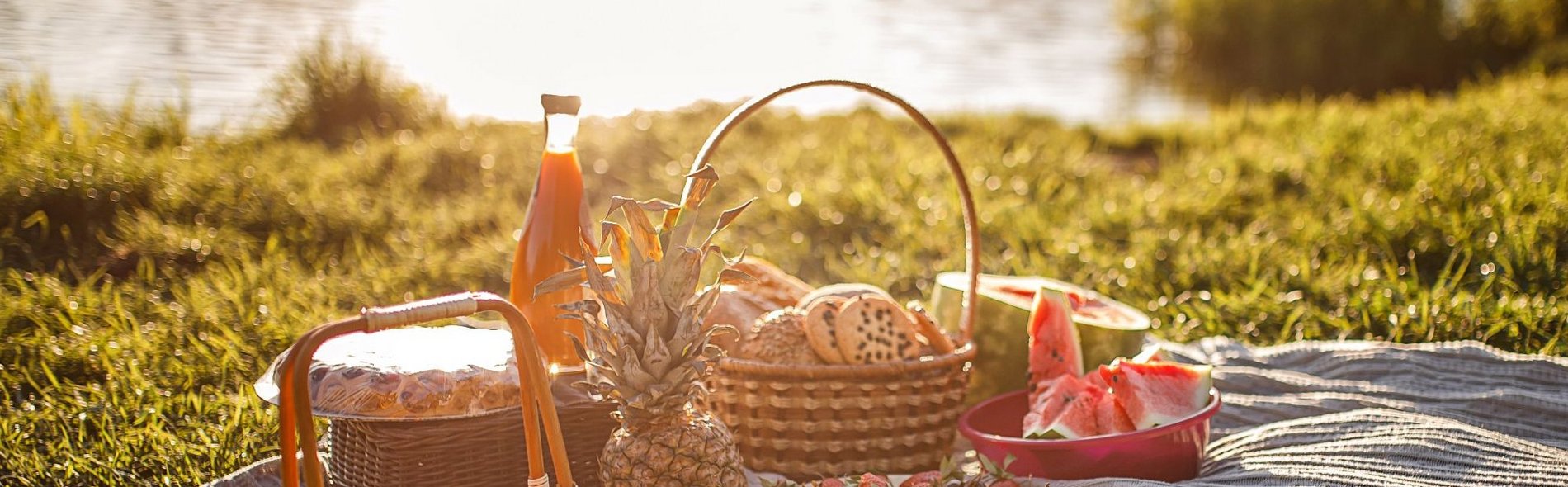 Ein Picknick an einem See