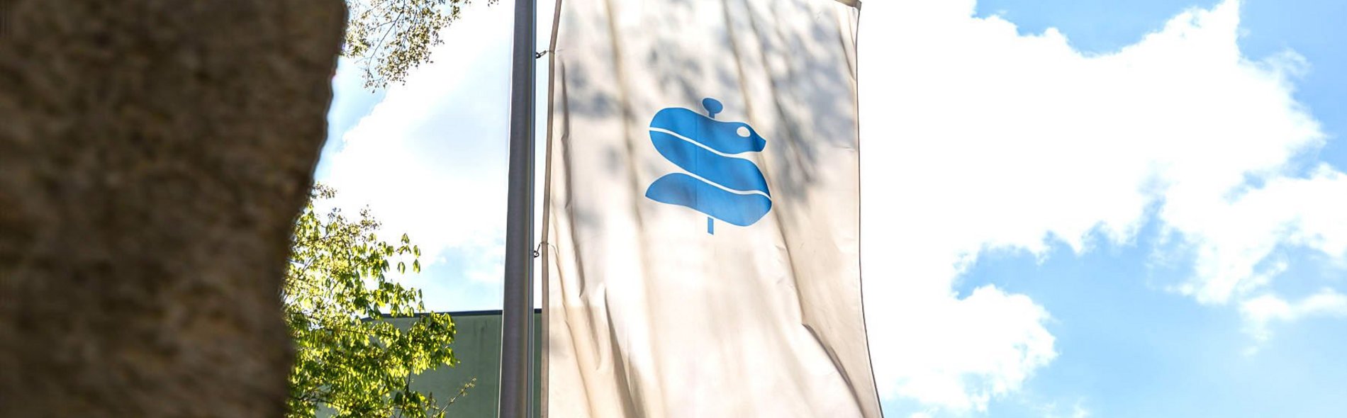 Eine weiße Flagge mit dem blauen Sana-Logo vor einem strahlend blauen Himmel mit vereinzelten Wolken. Bäume rahmen die Szene teilweise ein und verleihen ihr einen natürlichen Touch.