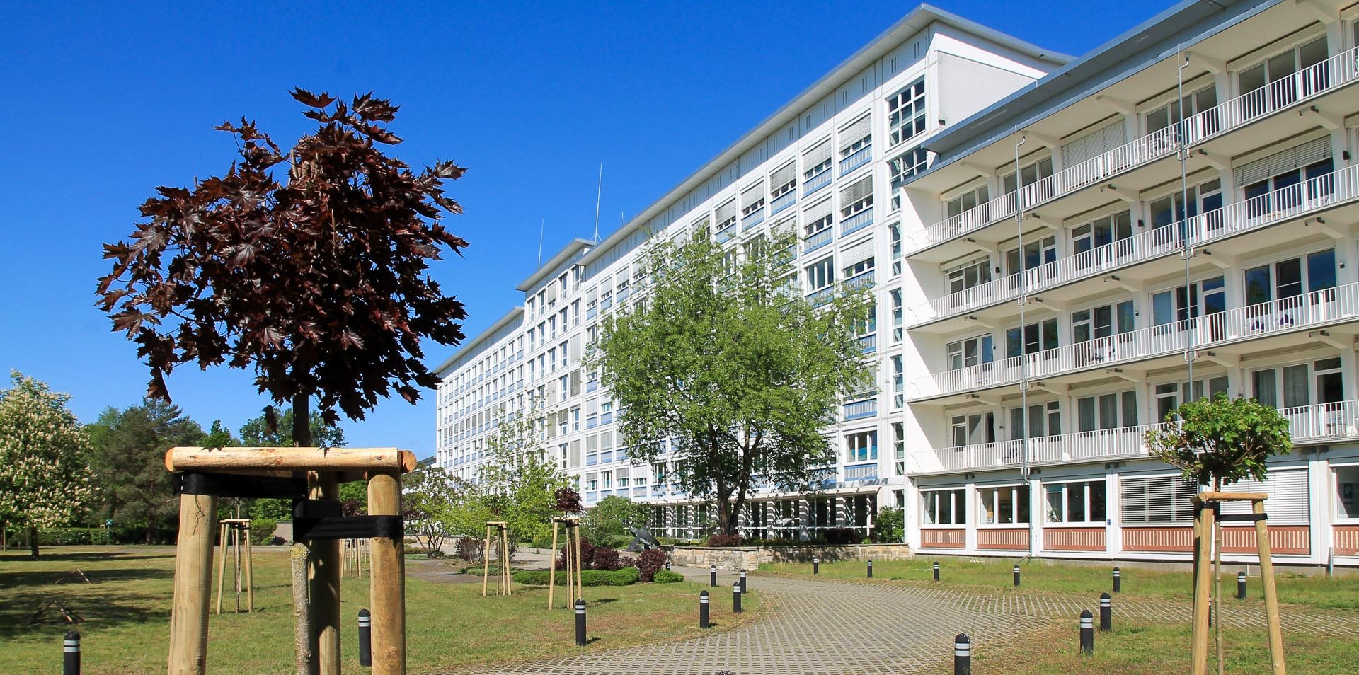 Lausitzer Seenland Klinikum außen, Blick in den Park