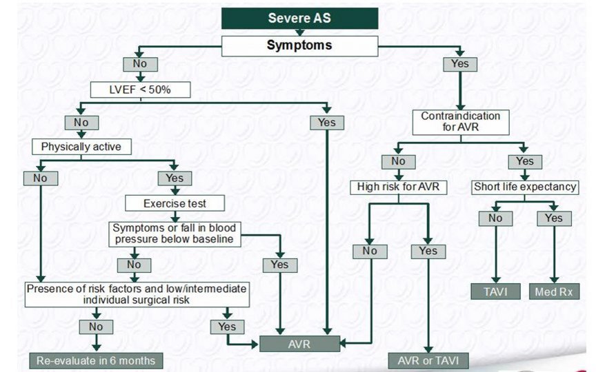 Management bei hochgradiger Aortenklappenstenose