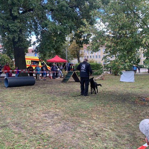Hundestaffelvorführung beim Kinderfest der Klinik für Kinder- und Jugendmedizin in Lauchhammer