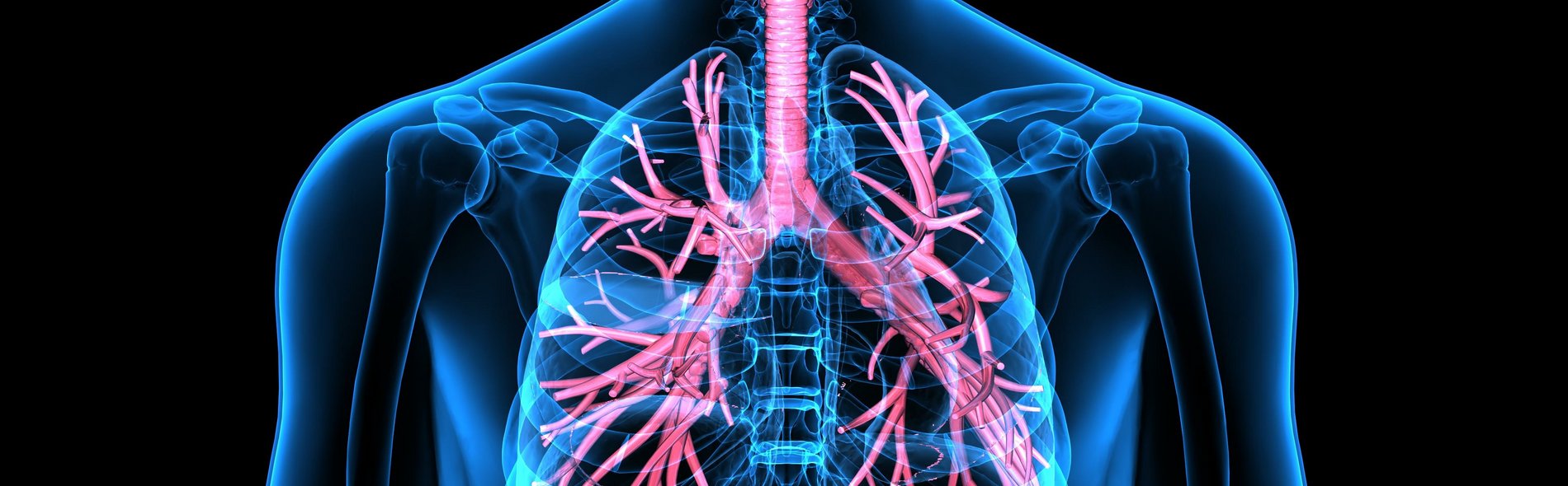 Grafisches Bild einer Lunge
