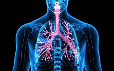 Grafisches Bild einer Lunge