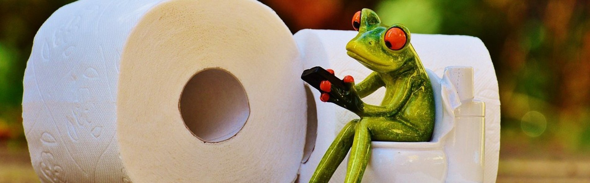 Proktologie: Erkrankungen des Enddarms, Symbolfoto Frosch auf Toilette erstellt von Alexas_Fotos