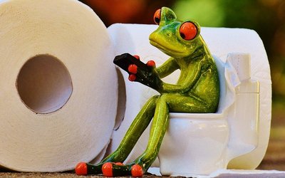 Proktologie: Erkrankungen des Enddarms, Symbolfoto Frosch auf Toilette erstellt von Alexas_Fotos