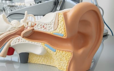 Hals-Nasen-Ohrenheilkunde