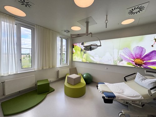Kreißsaal 2 im Geburtszentrum Biberach, in grün gehalten, mit Entbindungsbett, Be-up Modulen sowie einem Panoramabild mit großer lila Blüte