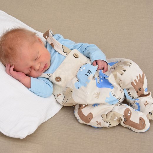 Babygaleriebild von Lius, geboren am 26.07.2025 im Sana Klinikum Hof