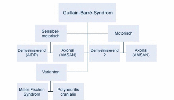 Verschiedenartige Erkrankungen des GBS