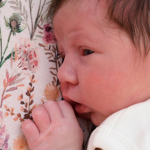 Babygaleriebild von Laya, geboren am 01.07.2026 im Sana Klinikum Hof